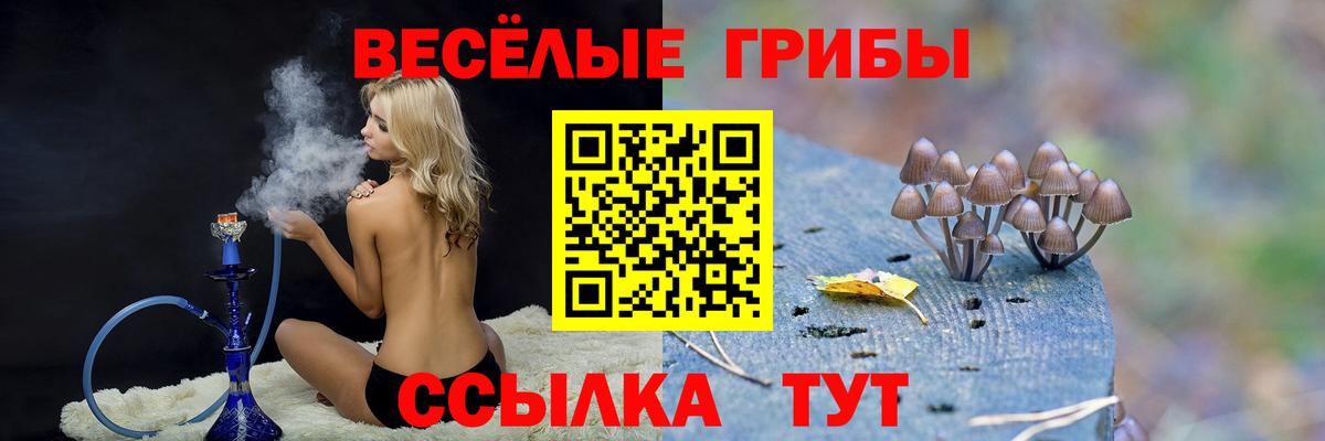 Галлюциногенные грибы Psilocybine cubensis Новосибирск